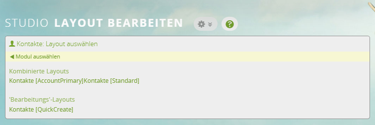 1CRM: Verfügbare Masken im Layouteditor