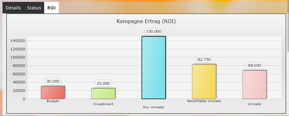 ROI der Kampagne auswerten